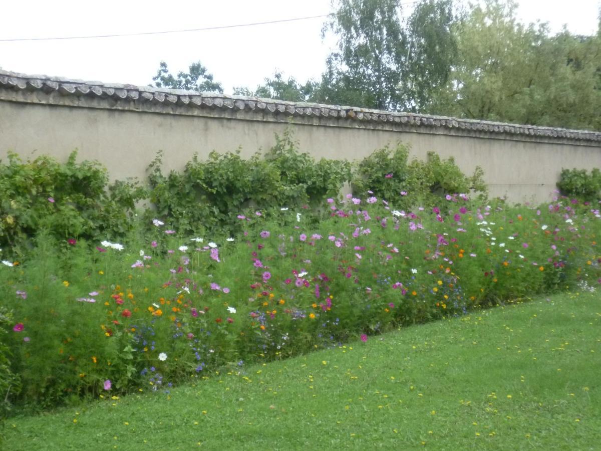 Chateau Des Charmes Guereins Kültér fotó